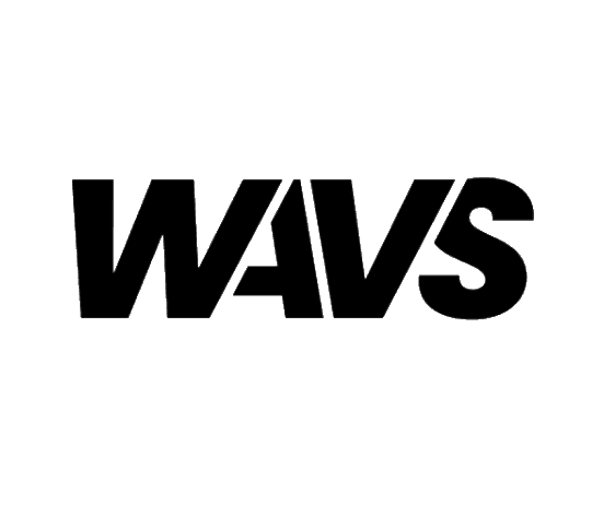 Wavs Music