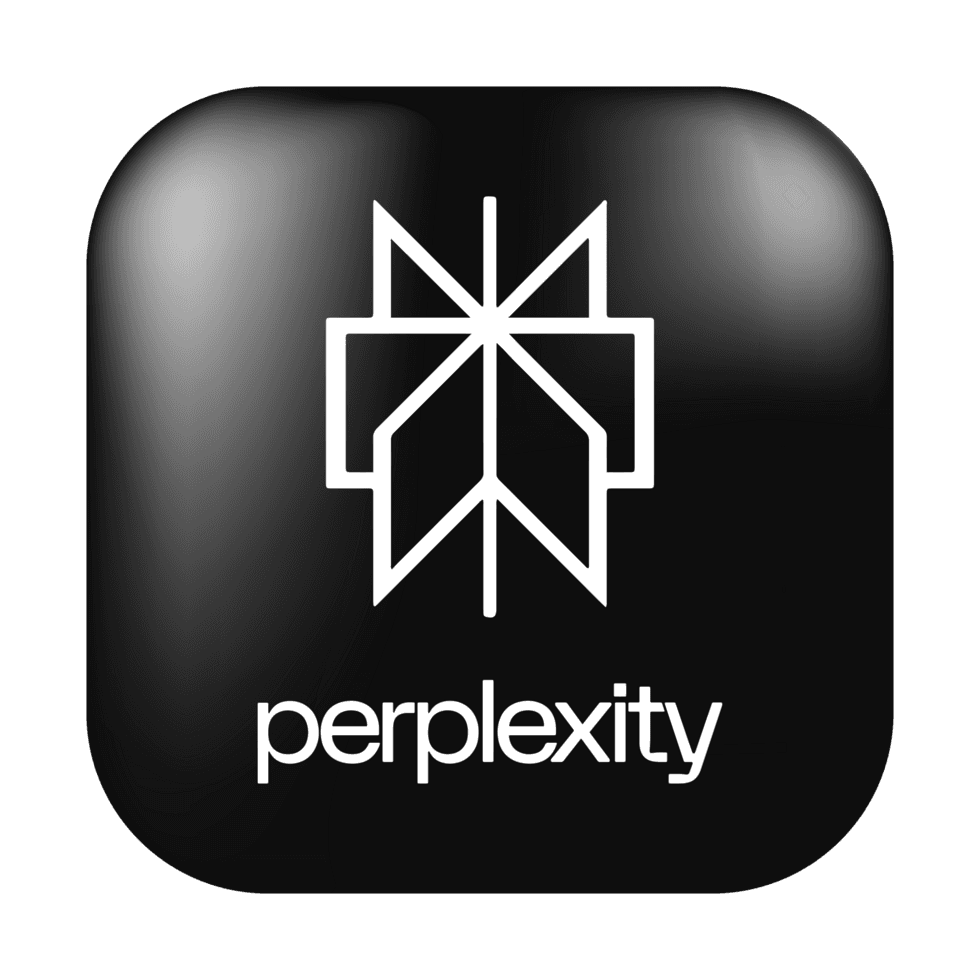 Perplexity
